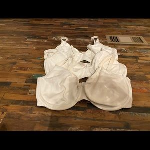 Plus size Bras